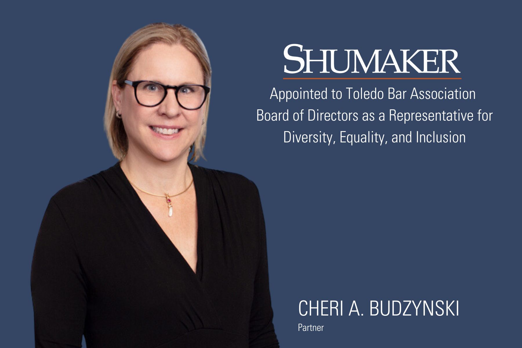 Cheri A. Budzynski Appointed to Toledo Bar Association Board of Directors